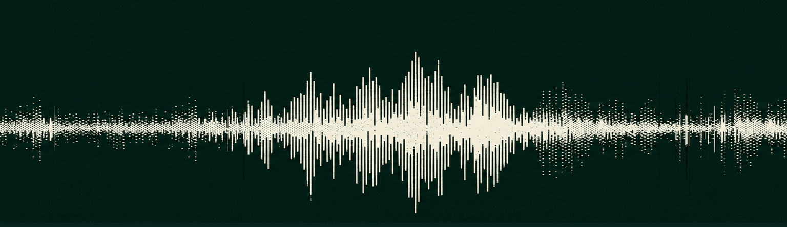 One continuous voice waveform, dithered: long even stretches broken by short sharp ones